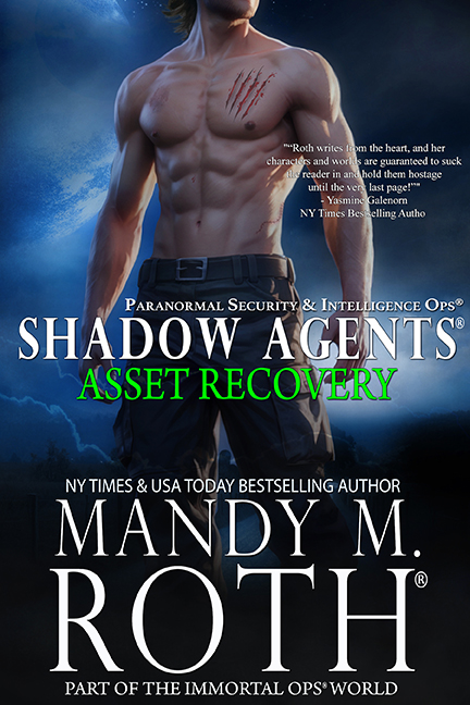 Shadow Agents Asset Recovery Art Cover